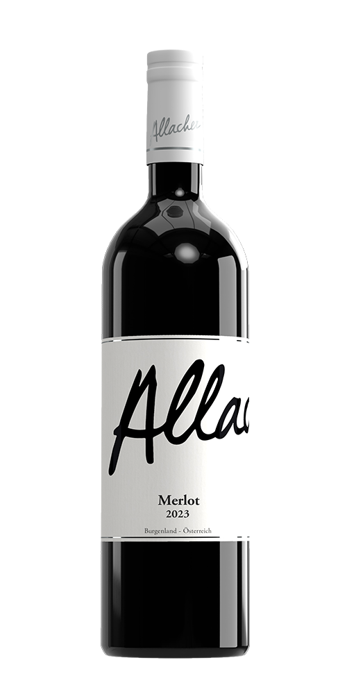 2023 Merlot