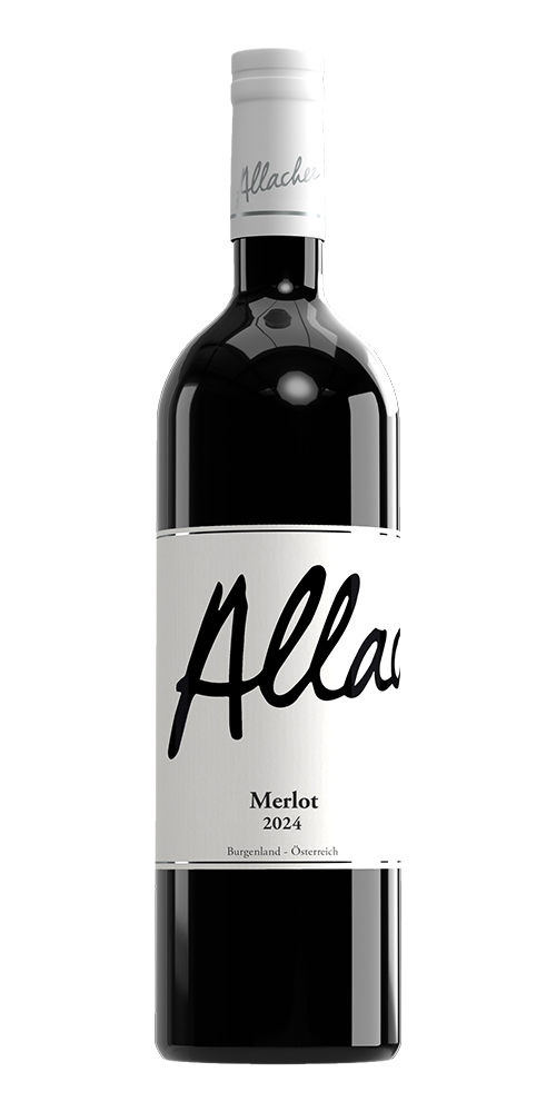 2024 Merlot
