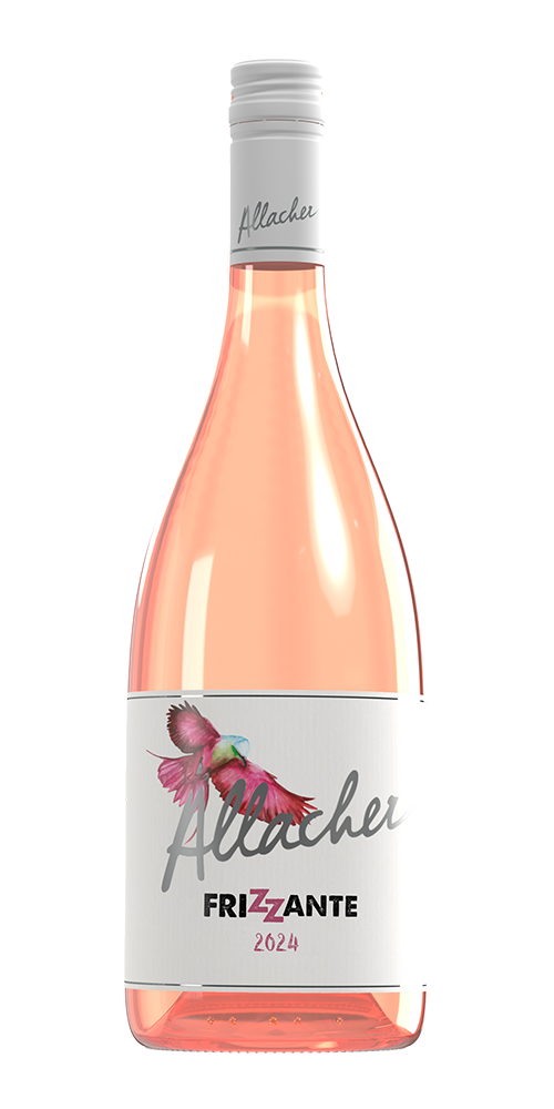 2024 Frizzante Rosé