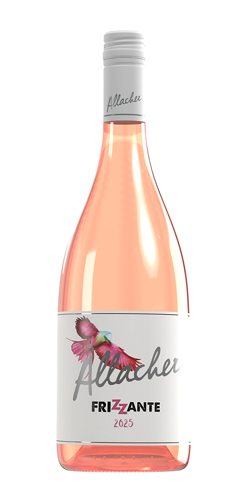 2025 Frizzante Rosé