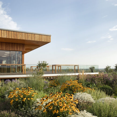 Das Weingut am Salzberg - Weingut Allacher Das Weingut am Salzberg - Weingut Allacher