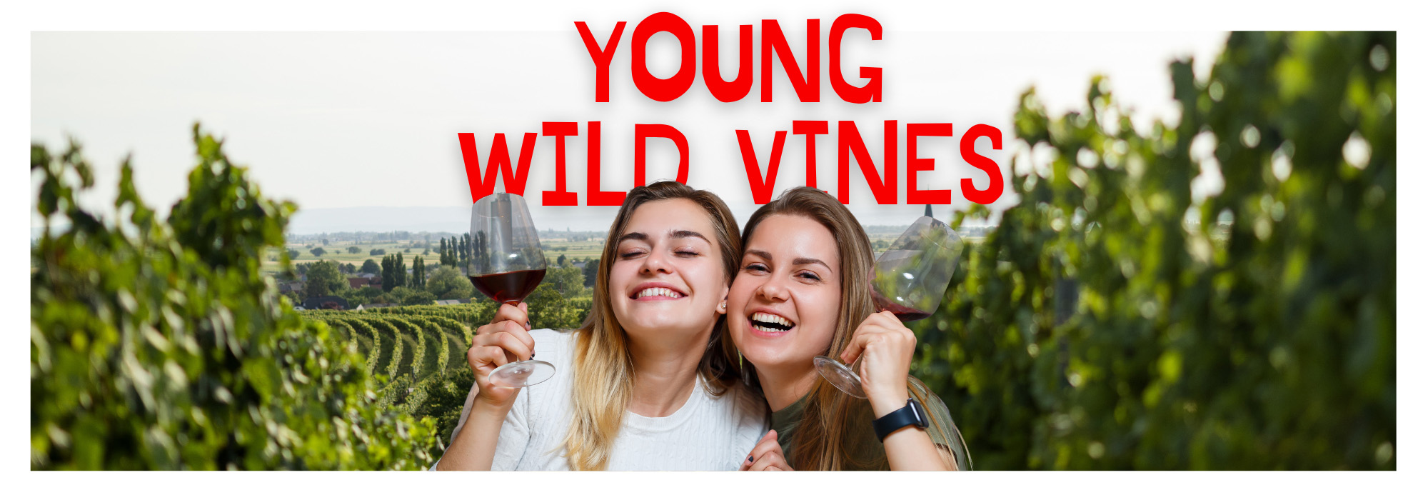 YWV_2000x700