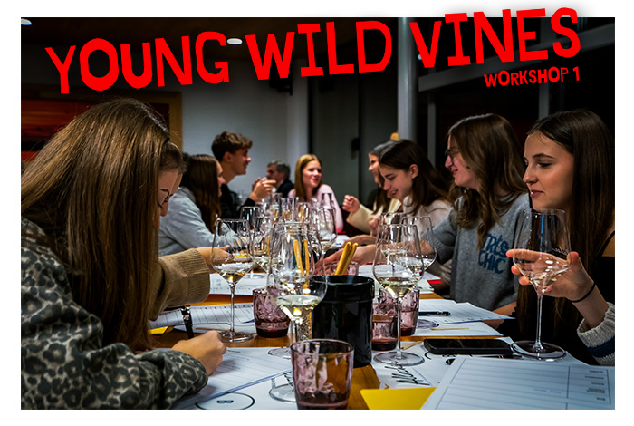Mehr über den Artikel erfahren Das war der erste Young Wild Vines-Workshop!