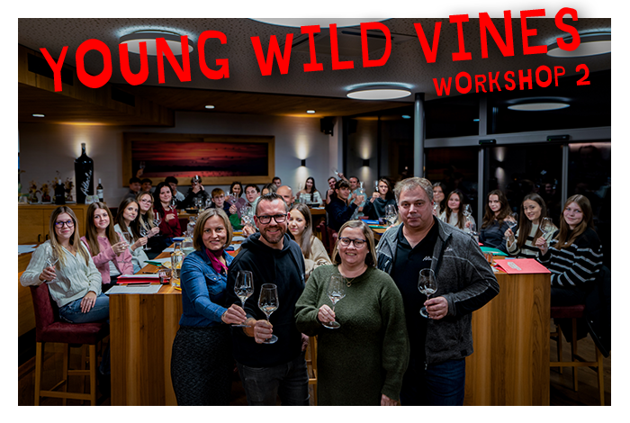 Mehr über den Artikel erfahren Das war der zweite Young Wild Vines-Workshop!
