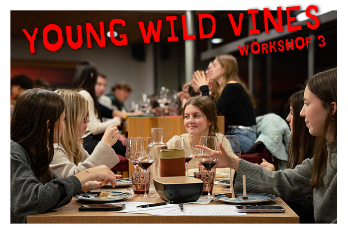 Mehr über den Artikel erfahren Das war der dritte Young Wild Vines-Workshop!