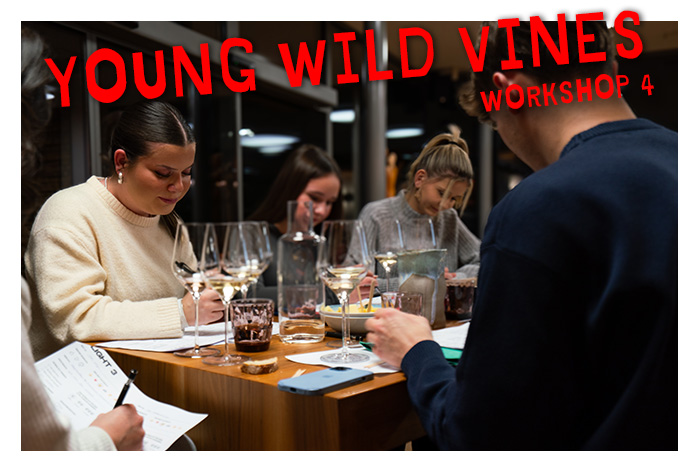 Mehr über den Artikel erfahren Das war der vierte Young Wild Vines-Workshop!