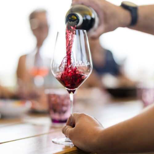 20250818_Allacher_019 20250818_Allacher_019