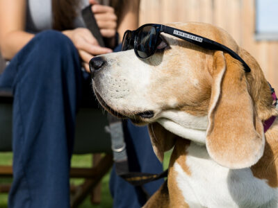 20250818_Allacher_034-scaled 20250818_Allacher_034-scaled