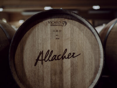 7_Allacher Vinum Pannonia_(c) Nadine Studeny 7_Allacher Vinum Pannonia_(c) Nadine Studeny