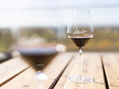 Allacher-Vinum-Pannonia-61 Allacher-Vinum-Pannonia-61