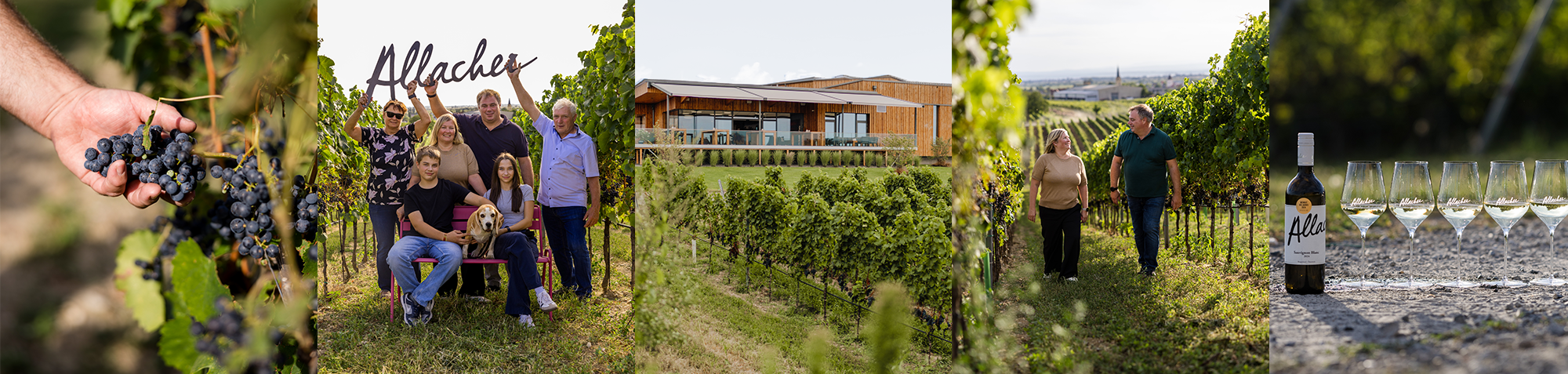 Header Unternehmensinfos Header Unternehmensinfos